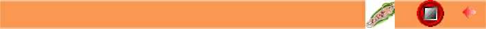Barra arancio con pulsanti.jpg (12812 byte)