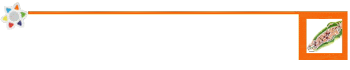 barra completa arancio.jpg (17737 byte)