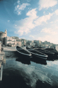 lesina.gif (37386 byte)