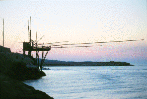 vieste2.gif (32775 byte)