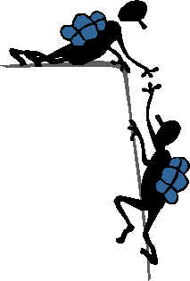 wpe20.jpg (7647 byte)