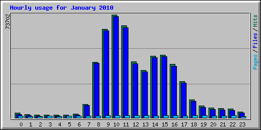 Hourly usage for January 2010