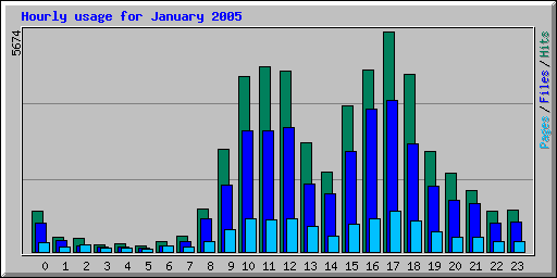 Hourly usage for January 2005