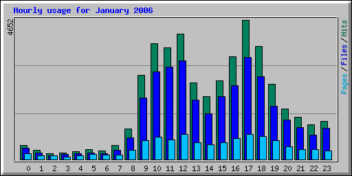 Hourly usage for January 2006