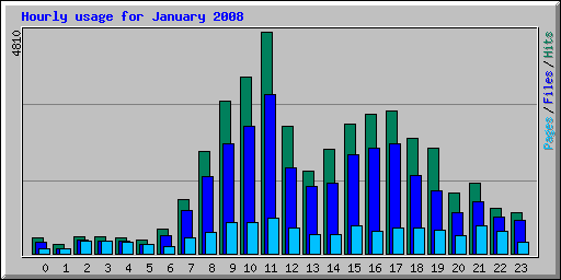 Hourly usage for January 2008