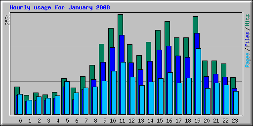 Hourly usage for January 2008