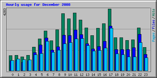 Hourly usage for December 2008