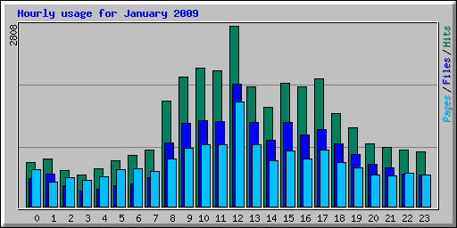 Hourly usage for January 2009