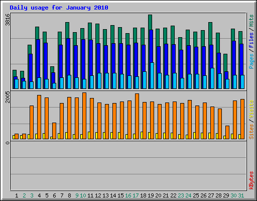 Daily usage for January 2010