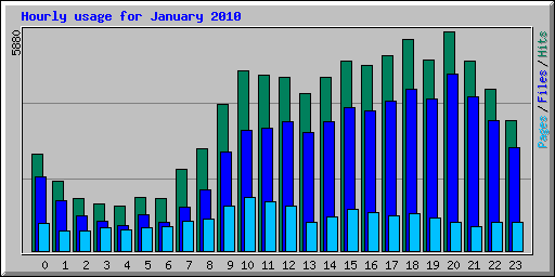Hourly usage for January 2010