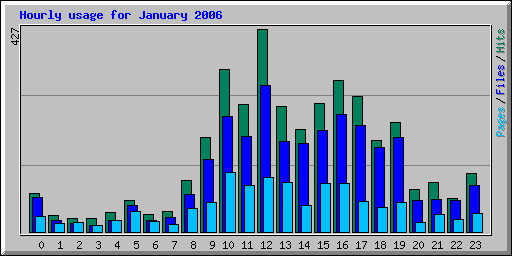 Hourly usage for January 2006