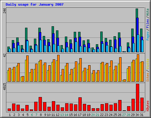 Daily usage for January 2007