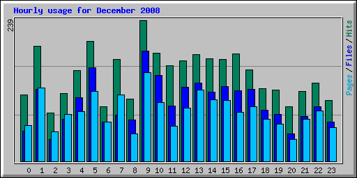 Hourly usage for December 2008