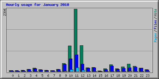 Hourly usage for January 2010