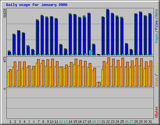 Daily usage for January 2008