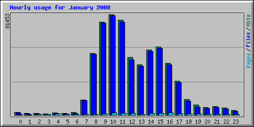 Hourly usage for January 2008