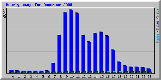 Hourly usage for December 2008