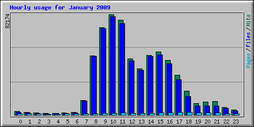 Hourly usage for January 2009