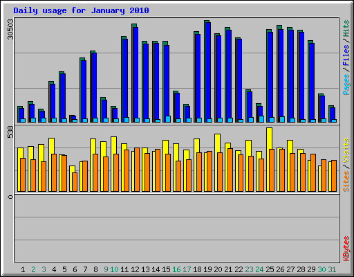 Daily usage for January 2010