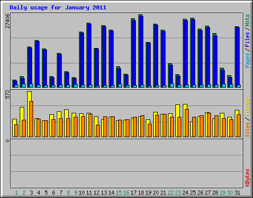 Daily usage for January 2011