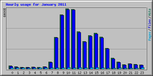 Hourly usage for January 2011
