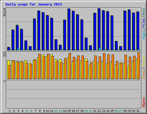 Daily usage for January 2013