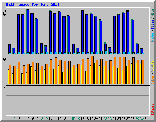 Daily usage for June 2013