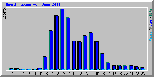Hourly usage for June 2013