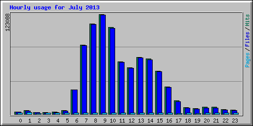 Hourly usage for July 2013
