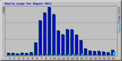 Hourly usage for August 2013
