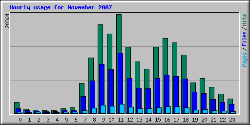 Hourly usage for November 2007