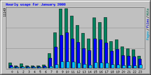 Hourly usage for January 2008