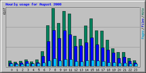 Hourly usage for August 2008