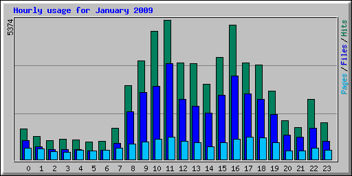 Hourly usage for January 2009