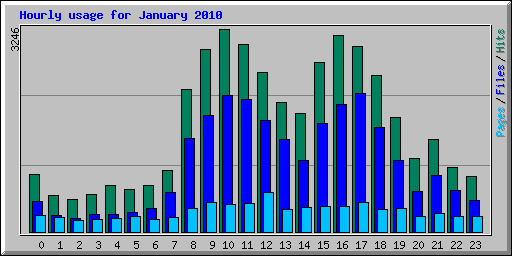 Hourly usage for January 2010