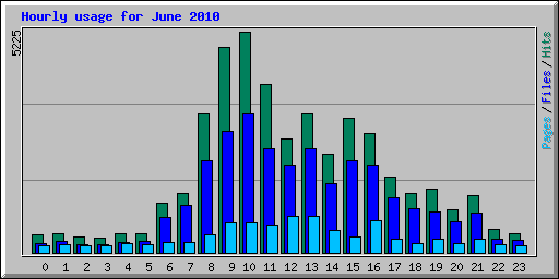 Hourly usage for June 2010
