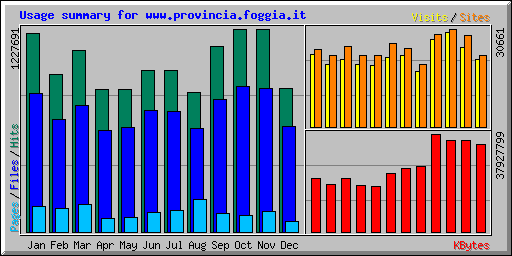 Usage summary for www.provincia.foggia.it
