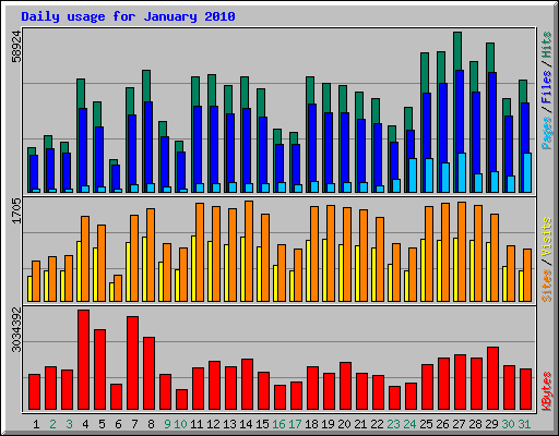 Daily usage for January 2010