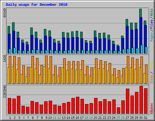Daily usage for December 2010