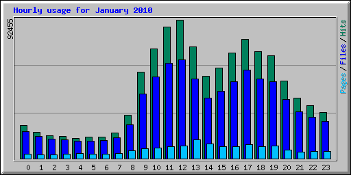 Hourly usage for January 2010