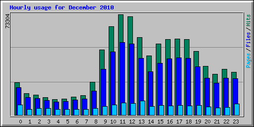 Hourly usage for December 2010