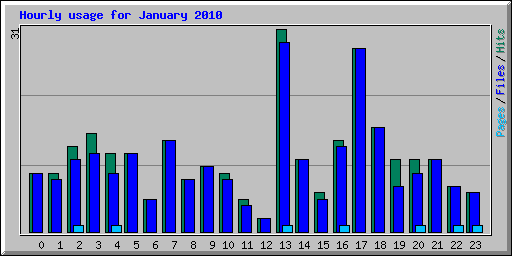 Hourly usage for January 2010