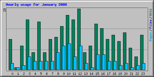Hourly usage for January 2008